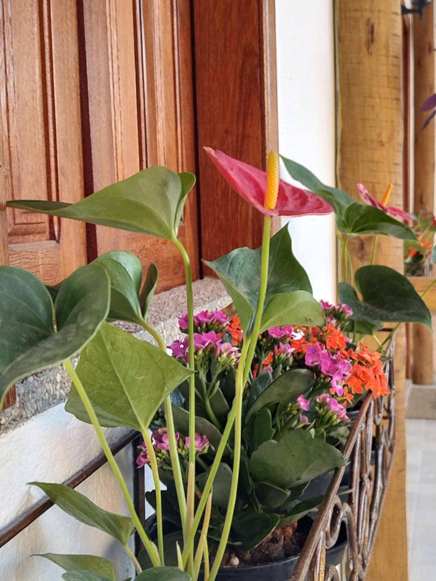Chales E Suites Campos De Sao Joao Palmeiras  Room photo